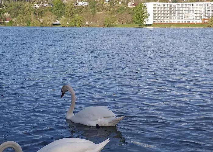 Bluewave Riverside Piestany Διαμέρισμα Banka